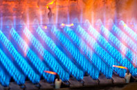Cleghorn gas fired boilers